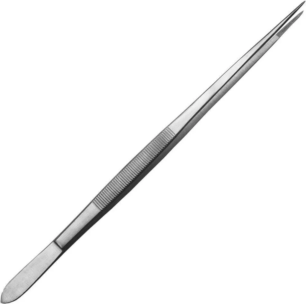 Pinzetta Acquario 25 cm Punta Fine Acciaio Inox | Aquascaping Professionale