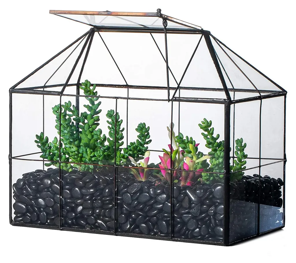 Terrarium géométrique en verre noir 25cm style serre avec treillis chic
