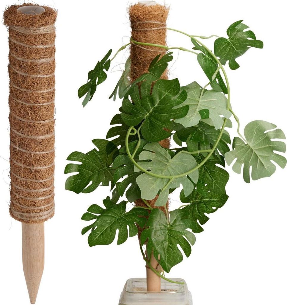 Progarden Kokos-Pflanzenstütze 50 cm – Naturstütze für Produktbild 