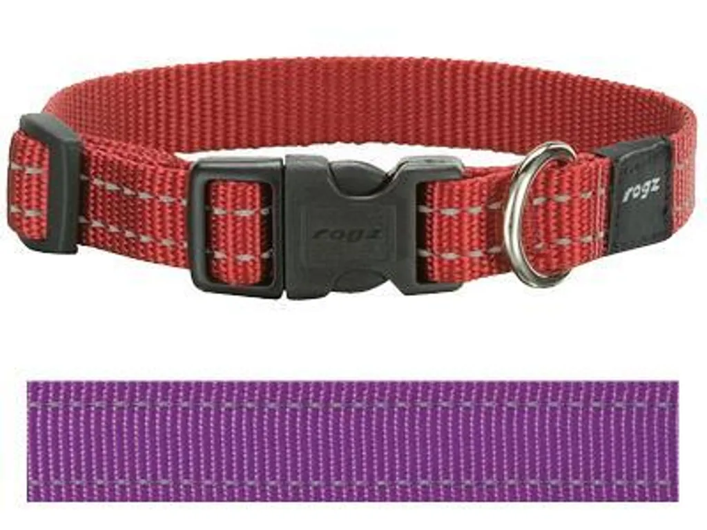 Collare Rogz Snake Viola Riflettente: Sicurezza per Cani Attivi