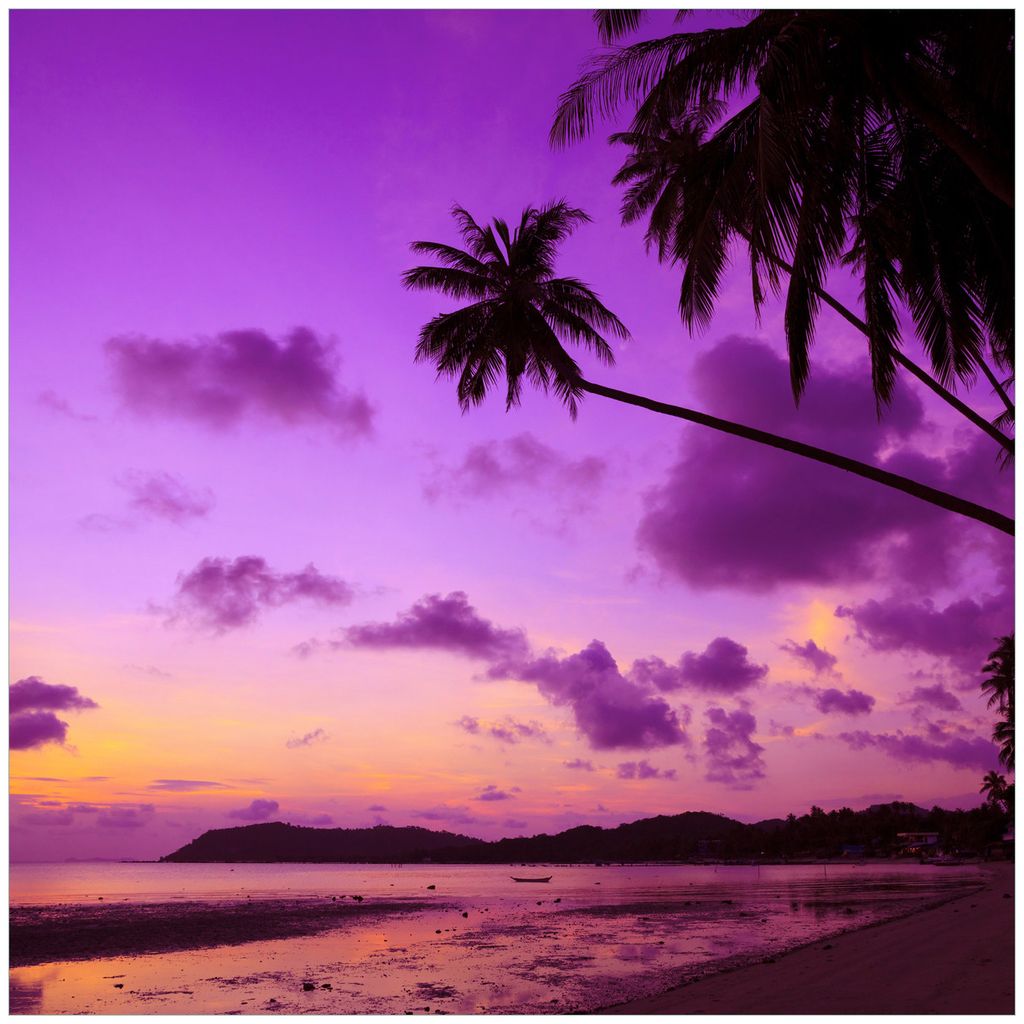 Wallario Wandbild aus Acryl, 50 x 50 cm, freischwebende Optik - Sonnenuntergang unter Palmen Himmel in lila und orange