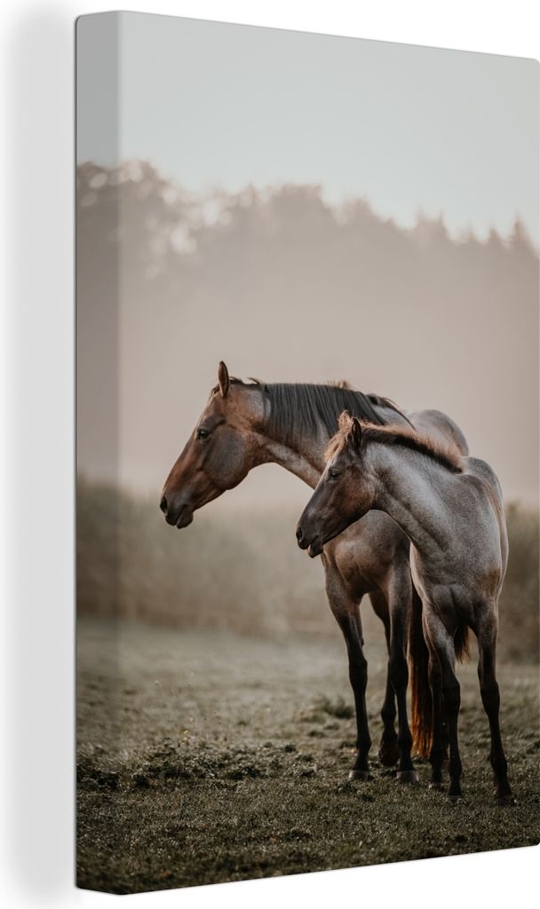OneMillionCanvasses - Leinwandbilder - 90x140 cm, Pferde - Nebel - Wiese, Wandbilder Kunstdruck Wanddekoration - Wandschmucke - Schlafzimmer