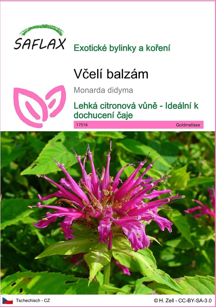 SAFLAX - včelí balzám - Monarda didyma - 20 Semena Obrázek produktu 