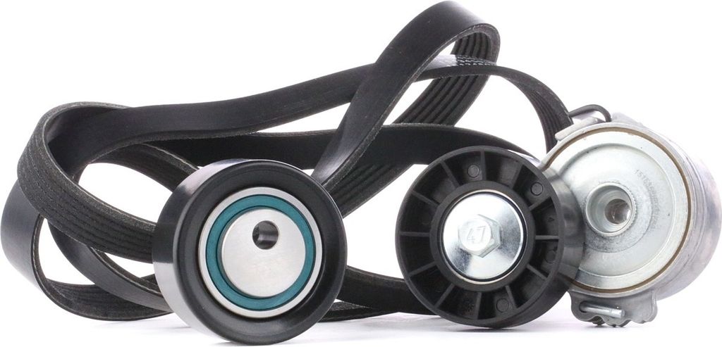 RIDEX 542R0038 Keilrippenriemensatz für FIAT ULYSSE (220)