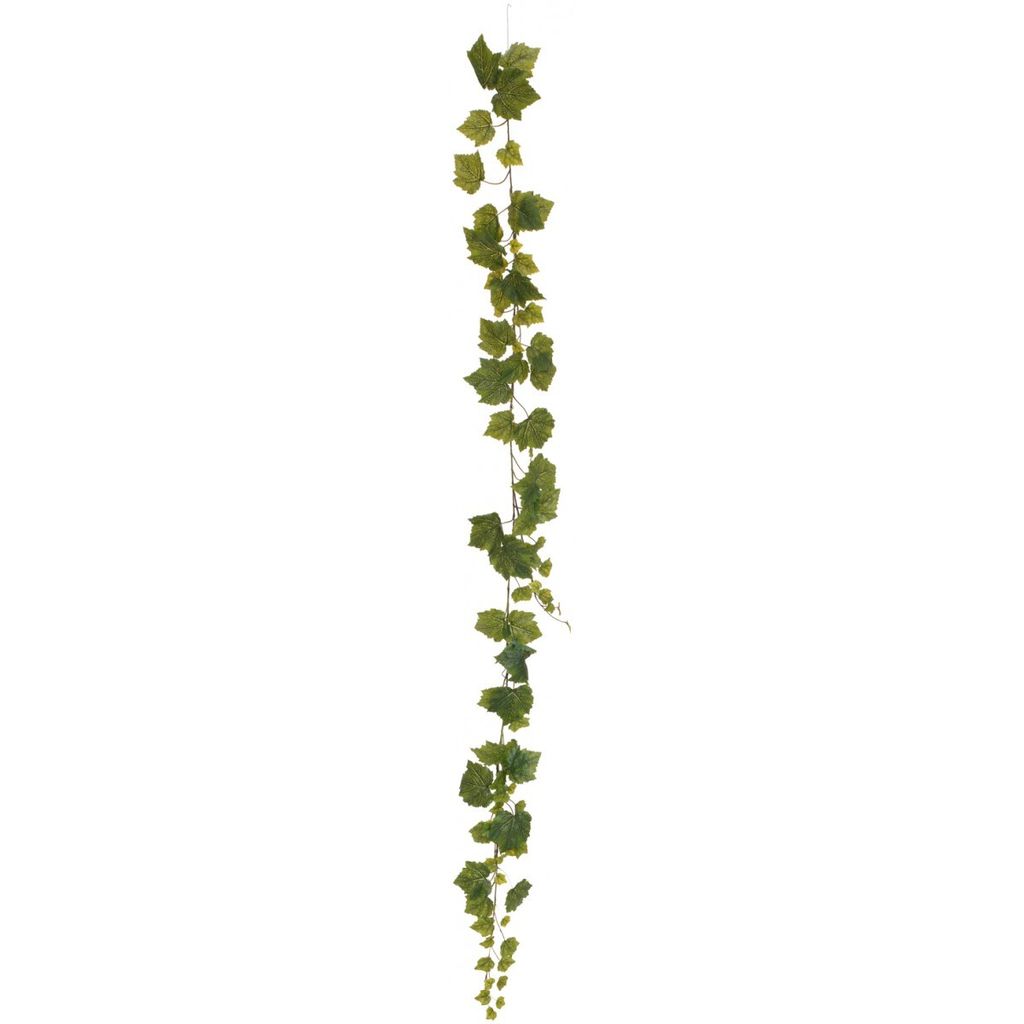 EUROPALMS Ghirlanda di viti Premium, artificiale, 180 cm Immagine del prodotto 