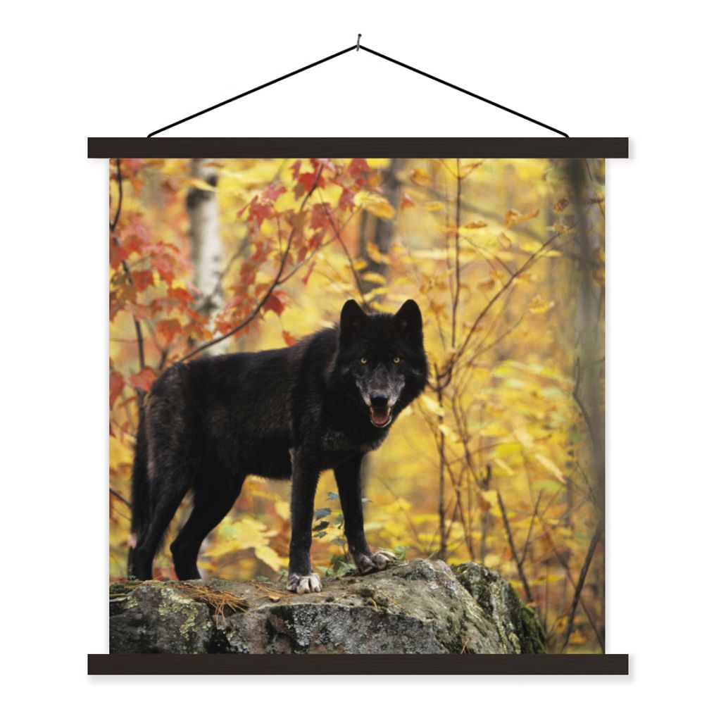 MuchoWow Textilposter Wolf - Fels - Baum 40x40 cm mit schwarzem Rahmen - Fotos