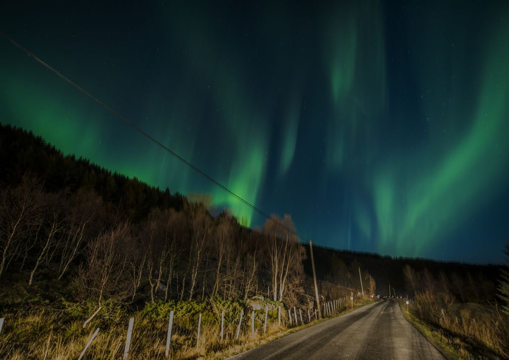 hansepuzzle 73234 - Aurora Puzzle, 260 Teile, Natur, 41,0 x 28,0cm mit hochwertiger Aufbewahrung, Kartonbox und wiederverschließbarem Beutel