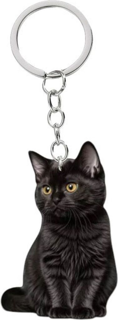Katzen-Schlüsselanhänger, doppelseitig, 2D, flach, Acryl, Haustier, hängende Nachbildungation, lebensecht, Katzen-Schlüsselanhänger, Zubehör ...