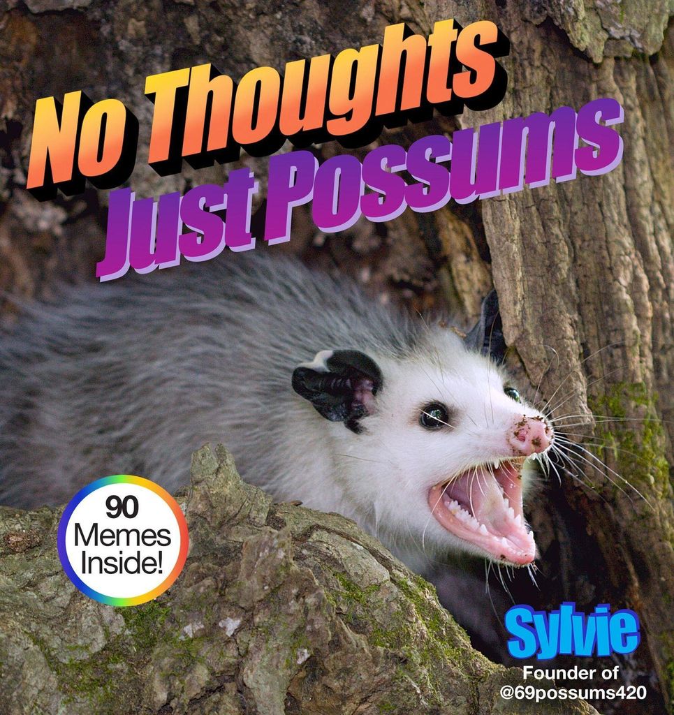 No Thoughts Just Possums – Lingua: Inglese
