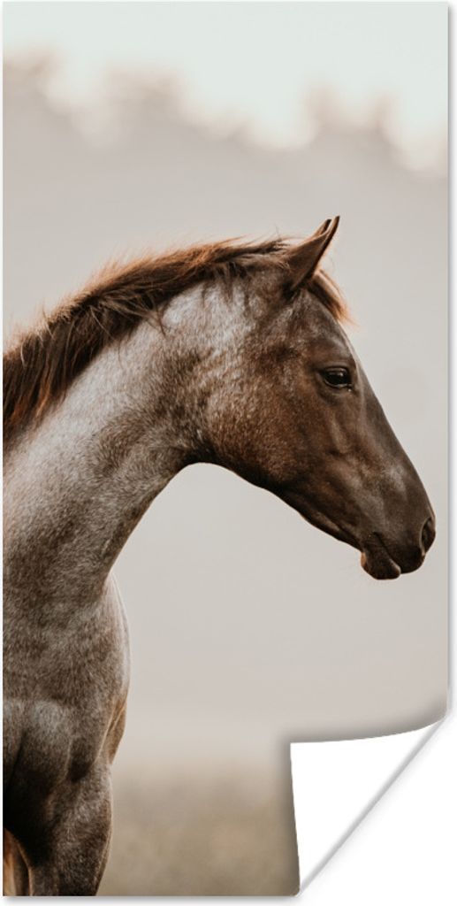 MuchoWow Poster Pferd - Nebel - Natur 40x80 cm - Dekoration
