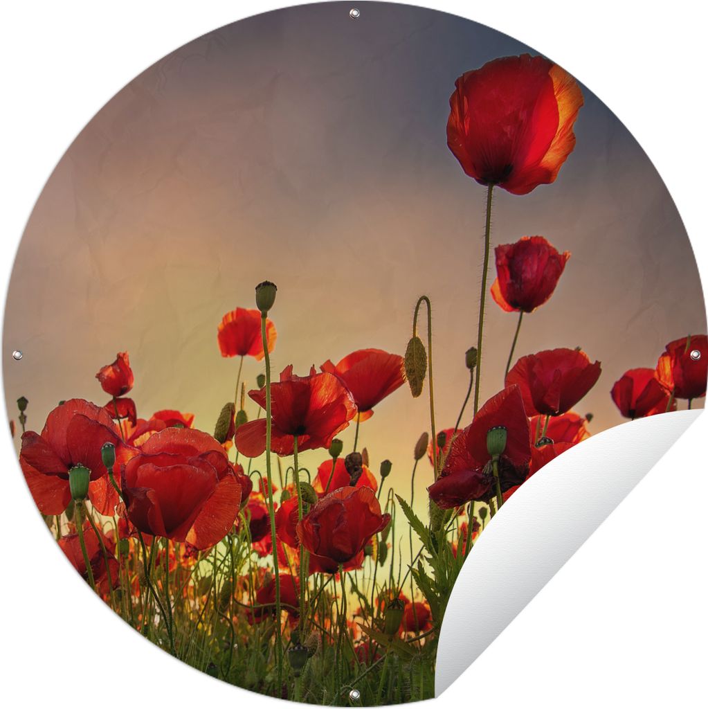 MuchoWow Gartenposter Outdoor-Poster Rund Bunter Himmel über einem Mohnblumenfeld in Dänemark Ø 150 cm Gartendeko Rundes Poster draußen
