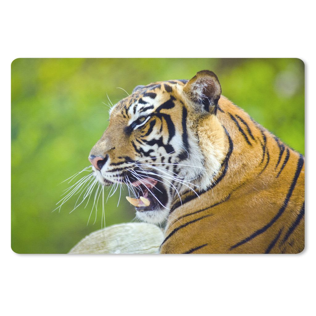 MuchoWow Mauspad Mousepad Tiger - Natur - Kopf 27x18 cm - Mousepads - Maus Mat - Pad - Mausunterlage - Büroartikel - Desk Matten