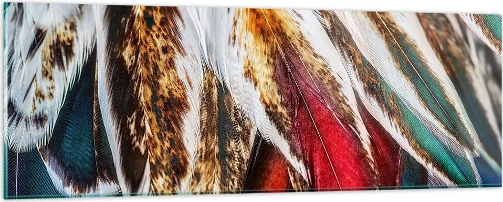 Bilder auf glas - Federn Federn Vogel - 90x30cm - Glasbilder - Wandbilder - Kunstdruck - zum Aufhängen bereit - Wanddekoration aus Glas - Glas Bil...