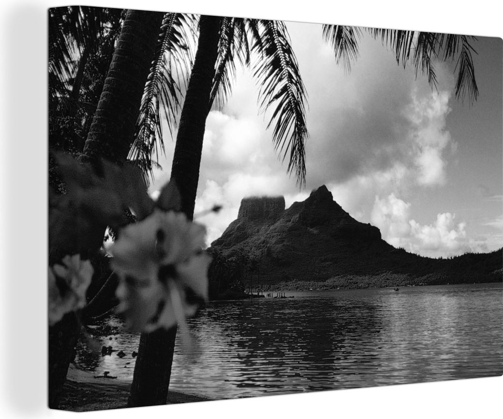 OneMillionCanvasses - Leinwandbilder - 140x90 cm, Blumen auf Bora Bora - schwarz und weiß, Wandbilder Kunstdruck Wanddekoration