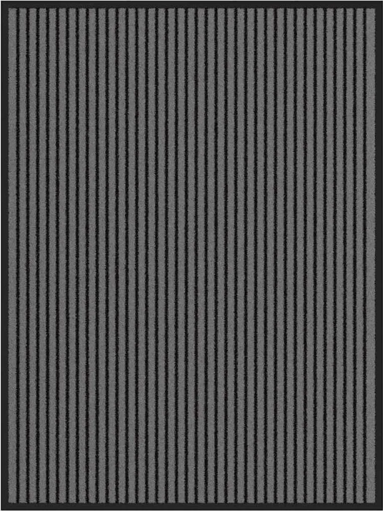Grand tapis d'entrée 80x120 cm pour porte d'entrée robuste et durable