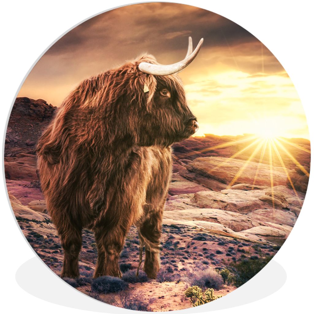 MuchoWow Rundes Wandbild - Runde Bilder Kuh - Schottischer Highlander - Steine Ø 60 cm Kreis Wanddekoration Kunststoff - Wandkreis - Wandschmuck...