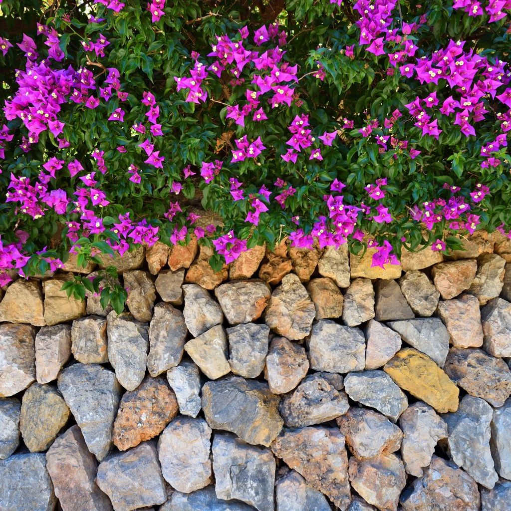 Wallario Möbeldesign / Aufkleber, geeignet für Ikea Lack Tisch - Mauer mit pinken Blüten in 55 x 55 cm