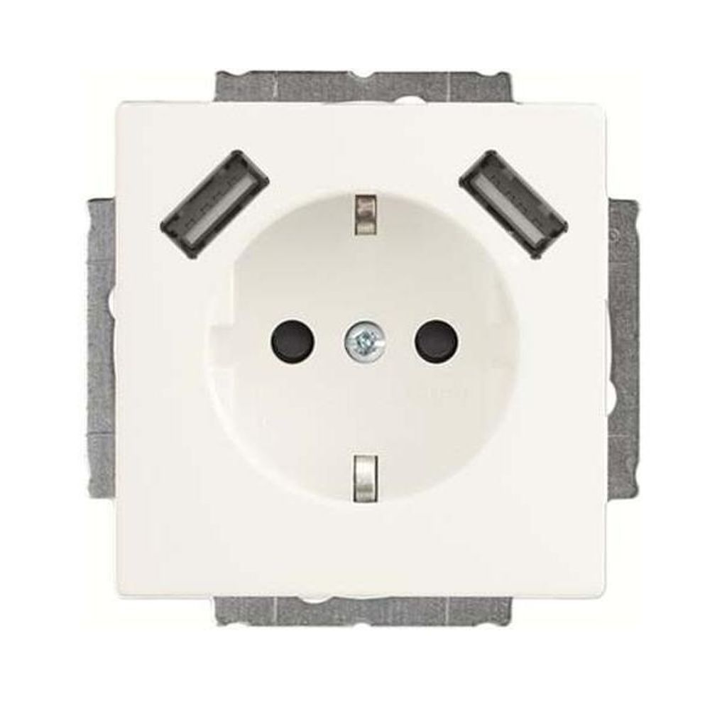 Busch-Jaeger SCHUKO-2x USB Steckdose 20 EUCB2USB-884 (2CKA002011A6277)