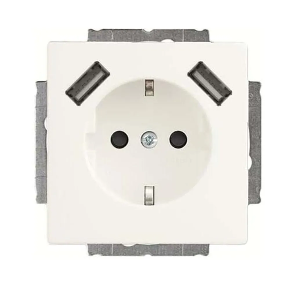 Prise SCHUKO Busch-Jaeger USB 2.4A 20 EUCB2USB-884 en Blanc Alpin Pro