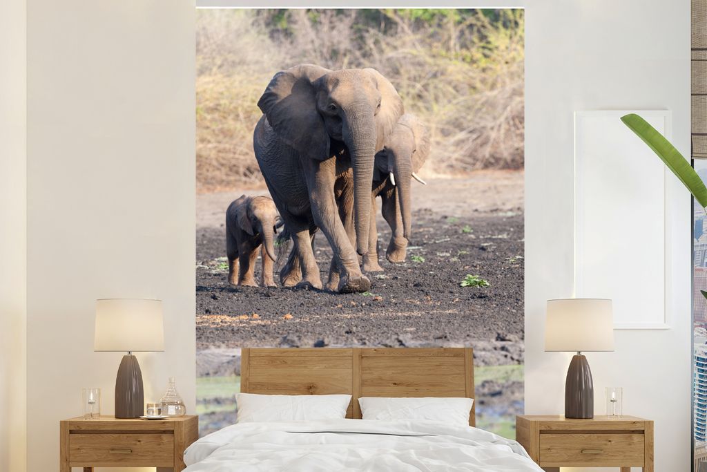 MuchoWow Fototapete für Wohnzimmer oder Schlafzimmer Wandtapete Vinyl Motivtapete Zwei Elefanten mit einem Jungtier im Mana Pools National Park ...
