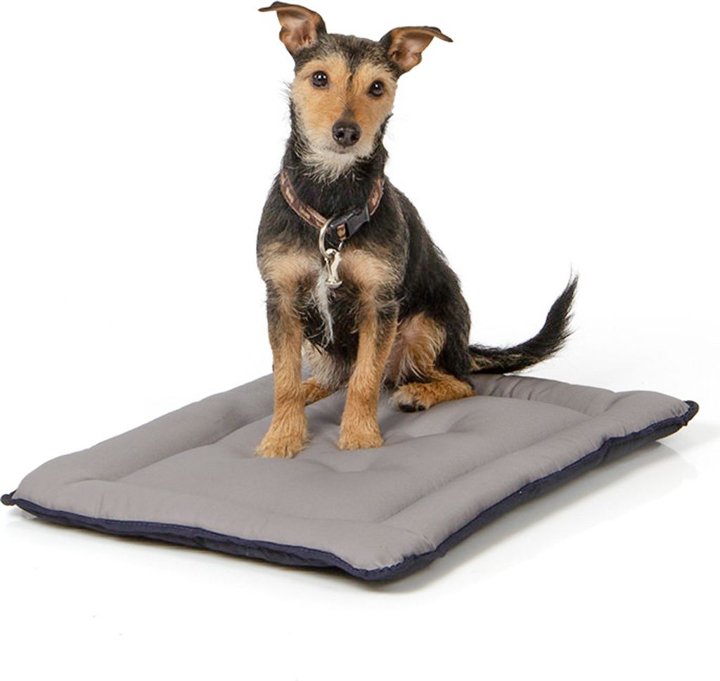 gepolsterte Wendedecke 60 x 45 cm, schwarz/grau bei 95°C waschbar für Hunde