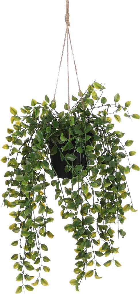 Mica Decorations Ficus hängende Kunstpflanze im Topf - H46 Produktbild 