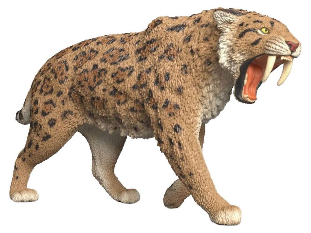 Tigre à dents de sabre Schleich Image du produit 