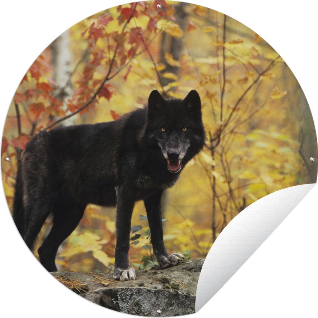 MuchoWow Gartenposter Outdoor-Poster Rund Wolf - Fels - Baum Ø 90 cm Gartendeko Rundes Poster draußen