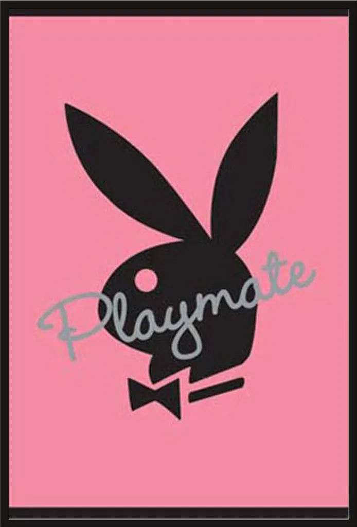 Affiche Playboy Playmate Bunny avec Cadre Incassable Vitre Acrylique
