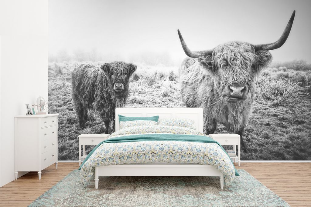 MuchoWow Fototapete für Wohnzimmer oder Schlafzimmer Wandtapete Vinyl Motivtapete Schottische Hochlandbewohner - Licht - Himmel - Natur - 435x26...