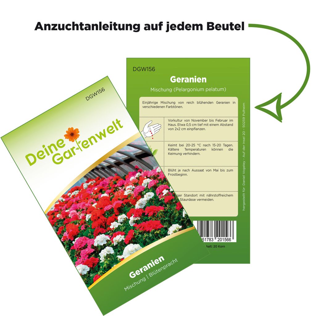Hängegeranien Mischung Samen - Pelargonium peltatum - Produktbild 3