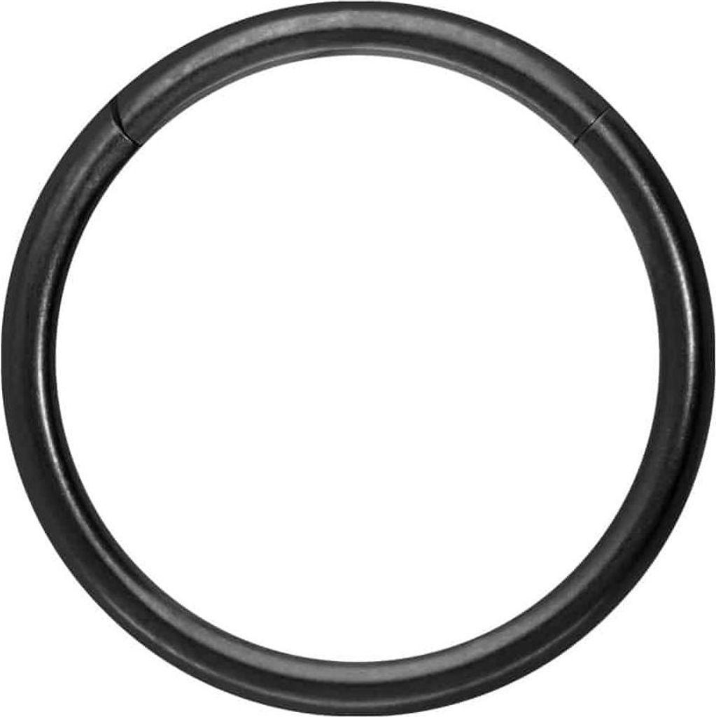 Ohrpiercing, Nasenpiercing, Septum Piercing Titan Segmentring Clicker MATT Schwarz Innendurchmesser: 14mm + Stabstärke: 1,6mm