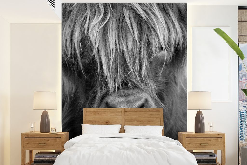 MuchoWow Fototapete für Wohnzimmer oder Schlafzimmer Wandtapete Vinyl Motivtapete Schottischer Highlander schaut in die Kamera - schwarz-weiß -...