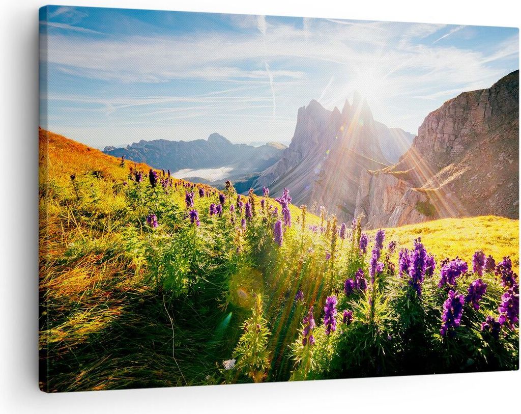 Bild auf Leinwand - Leinwandbild - Berge Wiese Blumen - 70x50cm - Wand Bild - Wanddeko - Wandbilder - Leinwanddruck - Bilder - Kunstdruck - Wanddek...