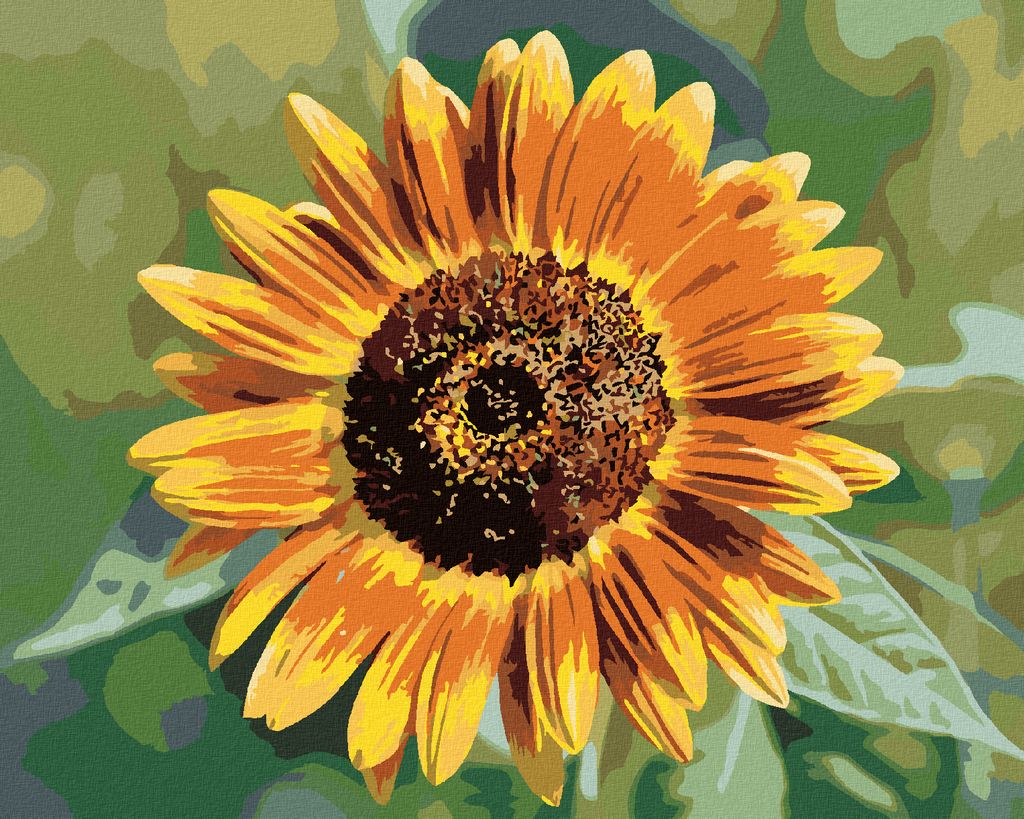Zuty - Malen nach Zahlen - SONNENBLUMENBLÜTE, 40x50 cm, mit Produktbild 