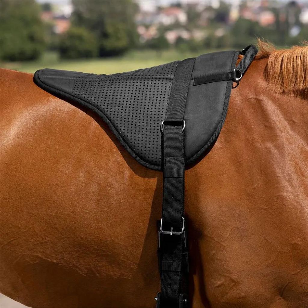 Norton Equestrian Cru Fs Silicone Satteldecken Braun Full Braun Full