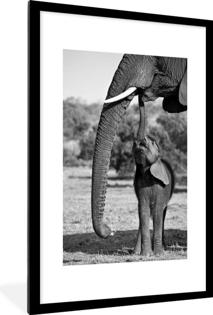 MuchoWow Gerahmtes Poster Baby-Elefant kommuniziert mit Mutter - schwarz-weiß 60x90 cm - Poster mit Schwarzem Bilderrahmen Wandposter Rahmen Fot...