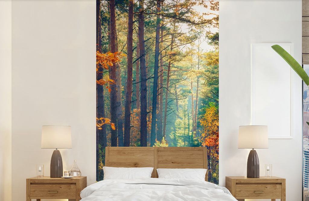 MuchoWow Fototapete für Wohnzimmer oder Schlafzimmer Wandtapete Vinyl Motivtapete Wald - Sonne - Natur - Herbst - 120x240 cm - Hintergrundbild