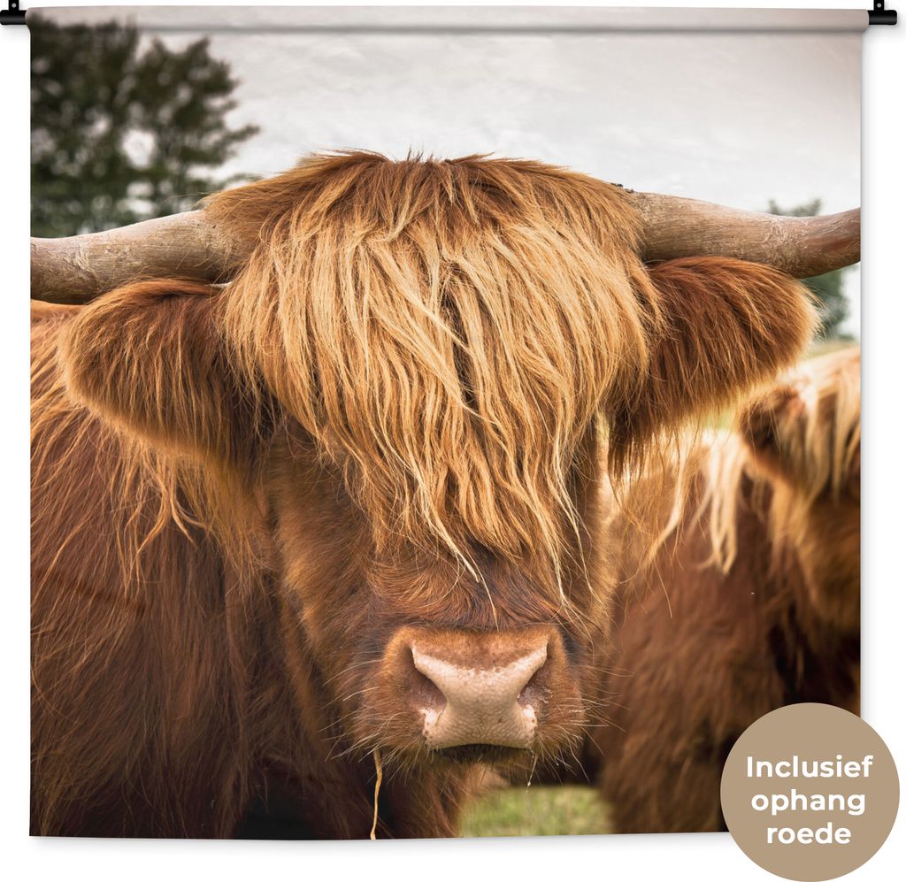 MuchoWow Wandteppich Wandbehang Schottische Hochlandrind - Braun - Gras 120x120 cm Tapisserie Dekoration Wandtuch - Modern - Baumwollgewebe