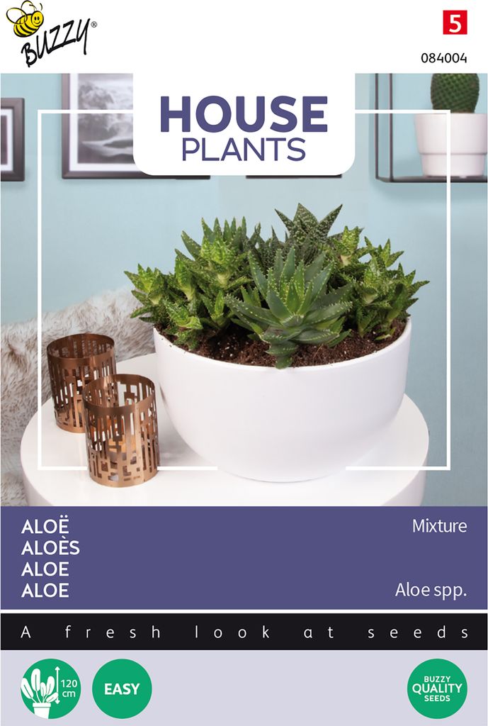 Buzzy House Plants Aloe Mischung Samen - Ca. 5 Samen | Buzzy_084004