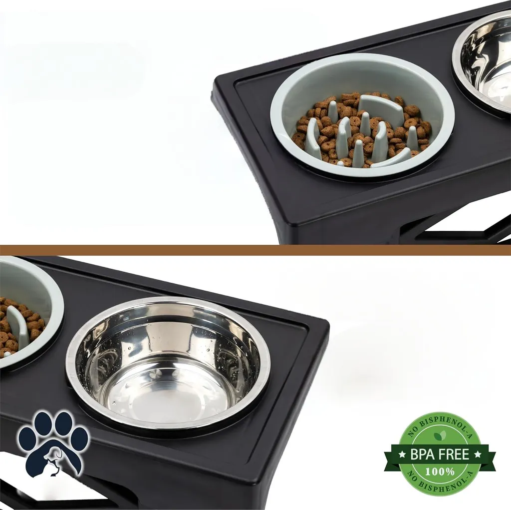 Set de gamelles pour chien ajustable idéal pour confort et digestion