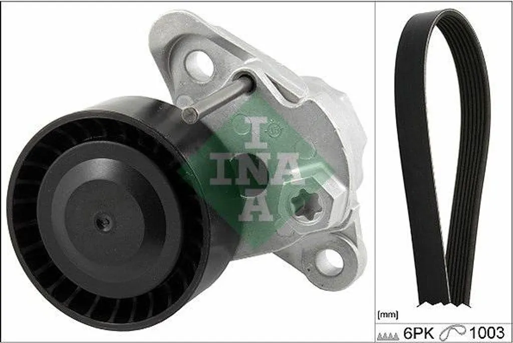 Kit Courroie INA 529 0208 10 : Éliminez les Bruits Moteur sur Golf et Mii