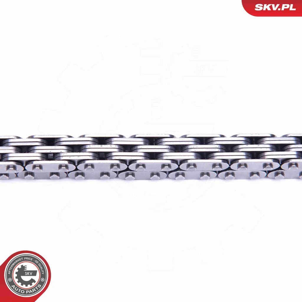 Kit distribution chaîne 21SKV134 complet pour BMW E60 E61 E70 E63 E65 - 3
