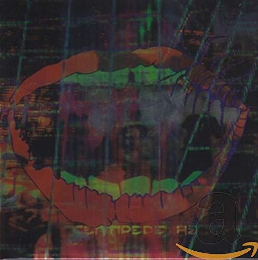Animal Collective - Centipede HZ