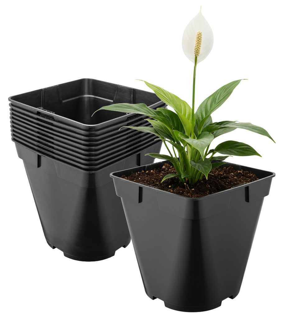 Garronda, lot de 10 pots en plastique de forme carrée aux Image du produit 