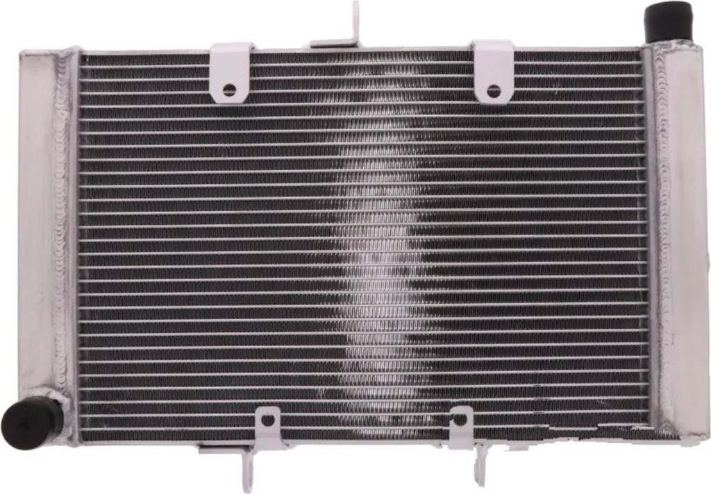 Remplacement radiateur eau JMP Honda CBF 1000 F CB 1000R 2008-2016