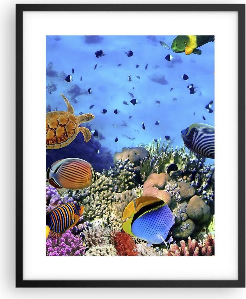 Gerahmtes Poster - Schwarzer Rahmen - Korallenriff - 40x50 Produktbild 