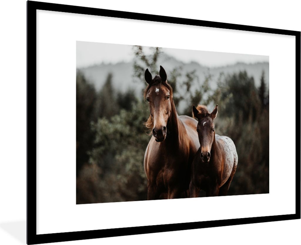 MuchoWow MuchoWow Gerahmtes Poster Pferd - Fohlen - Natur 90x60 cm - Poster mit zchwarzem Bilderrahmen - Wanddekoration - Fotos