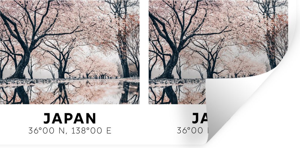 MuchoWow Wandtattoo Wandsticker Wandaufkleber Sakura - Japan - Frühling - Rosa 160x80 cm Selbstklebend und Repositionierbar - Sticker - Dekorfolie