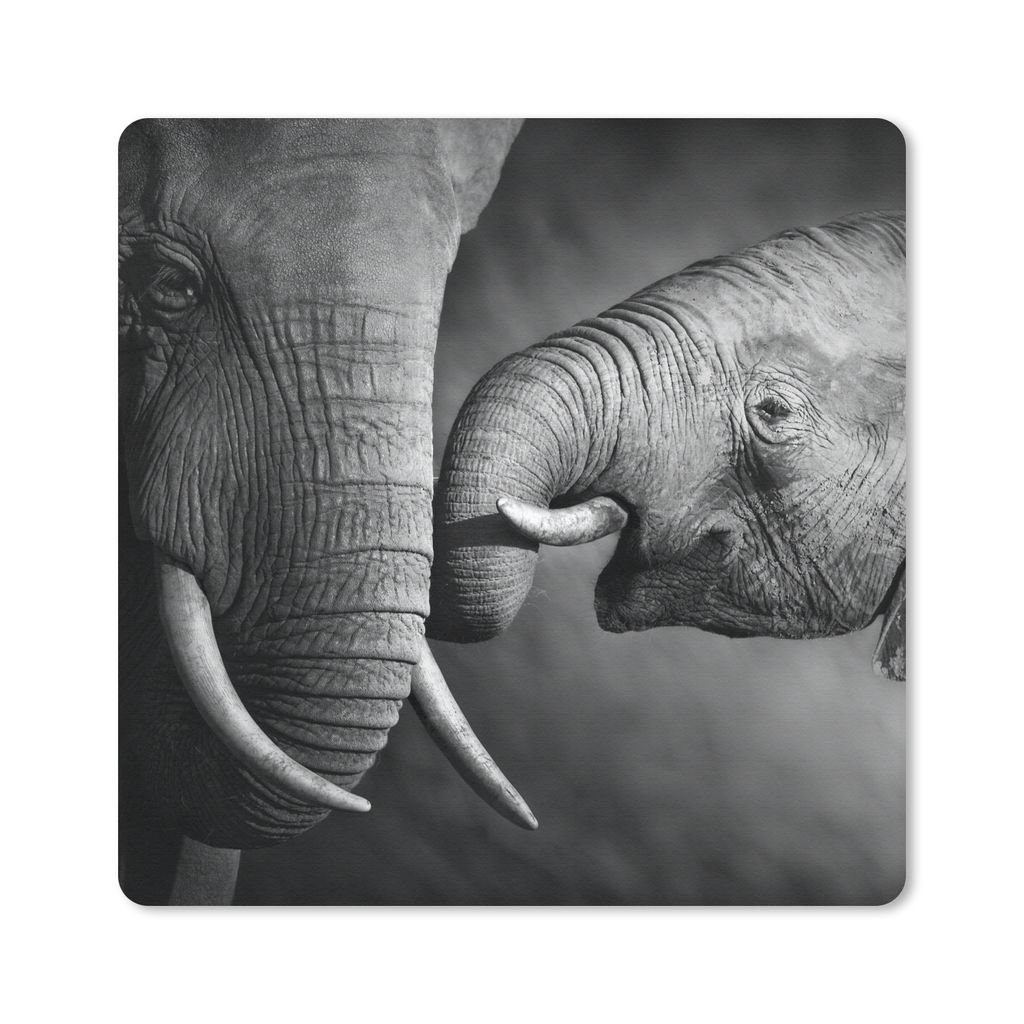 MuchoWow Mauspad Mousepad Wildtiere - Elefant - Schwarz - Weiß - Porträt 20x20 cm - Mousepads - Maus Mat - Pad - Mausunterlage - Desk Mat - Bur...